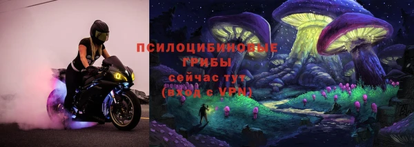 бутик Снежногорск