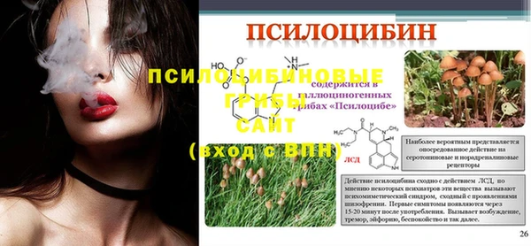бутик Снежногорск