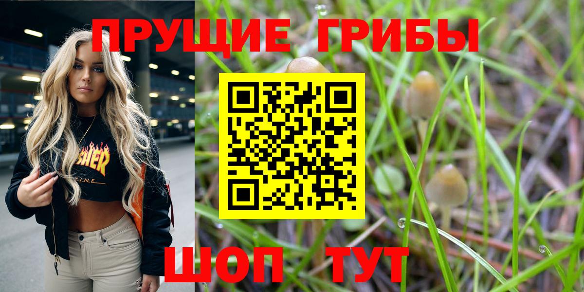 купить наркотики сайты  Псилоцибиновые грибы мицелий  Вход с VPN  Шали 