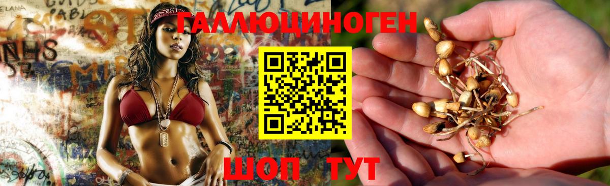 Галлюциногенные грибы ЛСД Шали