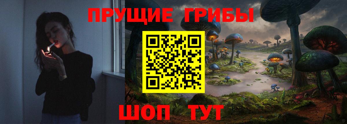 Псилоцибиновые грибы ЛСД  Шали  Псилоцибиновые грибы GOLDEN TEACHER 